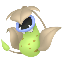 Shiny